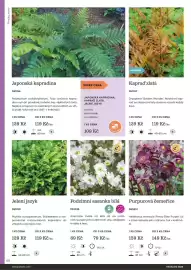 Starkl katalog Strana 60