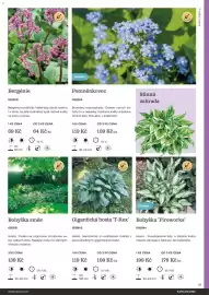 Starkl katalog Strana 61