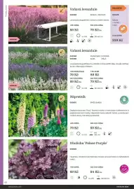 Starkl katalog Strana 62