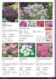 Starkl katalog Strana 63