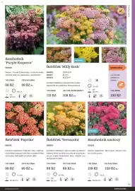 Starkl katalog Strana 65