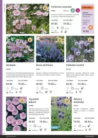 Starkl katalog Strana 66