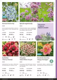 Starkl katalog Strana 67