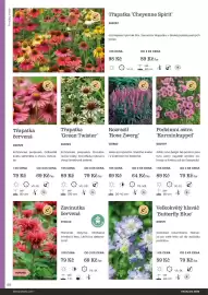 Starkl katalog Strana 68