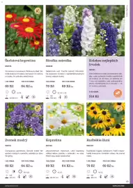 Starkl katalog Strana 69