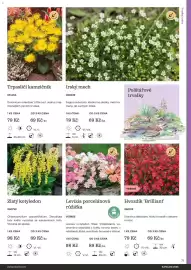 Starkl katalog Strana 71