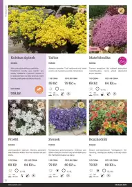 Starkl katalog Strana 72