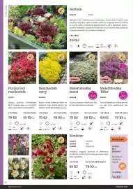 Starkl katalog Strana 74