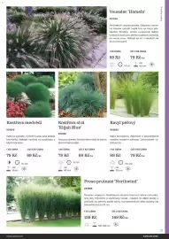 Starkl katalog Strana 77