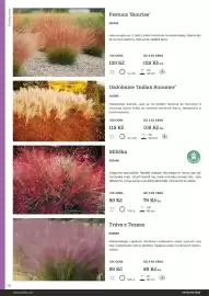 Starkl katalog Strana 78