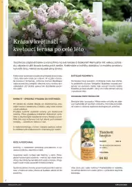 Starkl katalog Strana 8