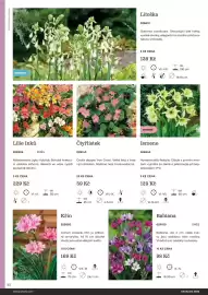 Starkl katalog Strana 82