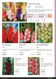 Starkl katalog Strana 83