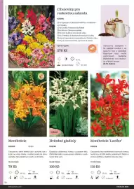 Starkl katalog Strana 84