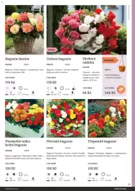 Starkl katalog Strana 85