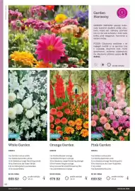 Starkl katalog Strana 88