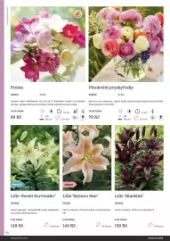 Starkl katalog Strana 90