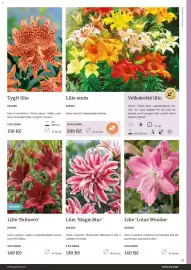 Starkl katalog Strana 91