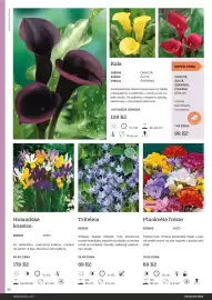 Starkl katalog Strana 94