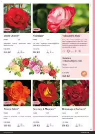 Starkl katalog Strana 99