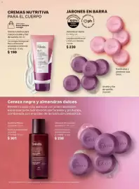 Catálogo Natura Página 103