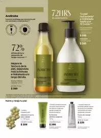 Catálogo Natura Página 115