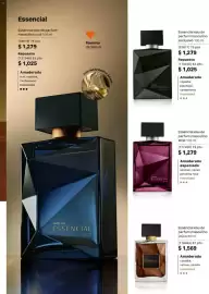 Catálogo Natura Página 31