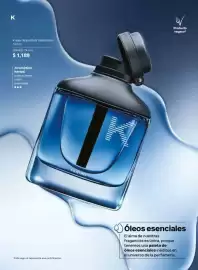 Catálogo Natura Página 34