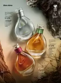 Catálogo Natura Página 35