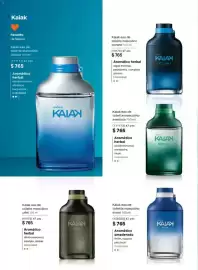 Catálogo Natura Página 36