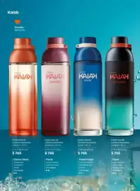 Catálogo Natura Página 38