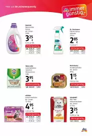 Dm Flugblatt Seite 11