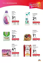 Dm Flugblatt Seite 11