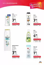 Dm Flugblatt Seite 5