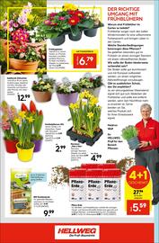 Hellweg Prospekt woche 9 Seite 16