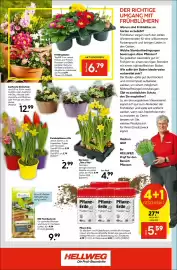 Hellweg Prospekt woche 9 Seite 16