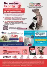 Folleto Kiwoko Página 16