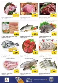 Nesto catalogue Page 15