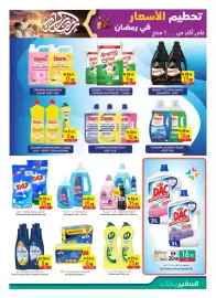 Safeer Market catalogue week 9 Page 17