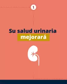 Catálogo Puppis Página 2