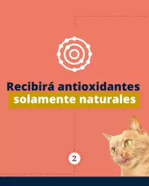 Catálogo Puppis Página 3