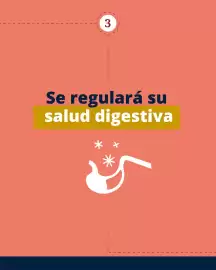 Catálogo Puppis Página 4