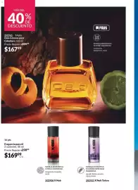Catálogo Avon Página 100
