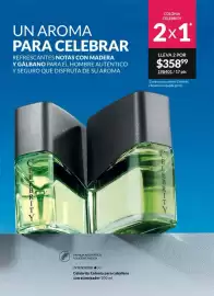 Catálogo Avon Página 101