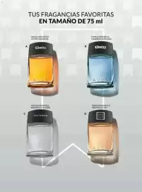 Catálogo Avon Página 102