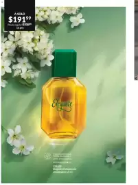 Catálogo Avon Página 98