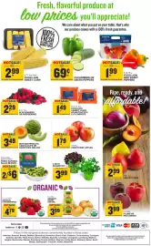 Food Lion weekly ad week 9 Page 2