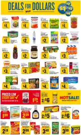 Food Lion weekly ad week 9 Page 5