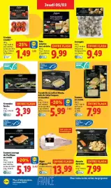Catalogue Lidl semaine 10 page 22