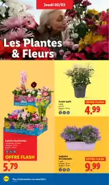 Catalogue Lidl semaine 10 page 26